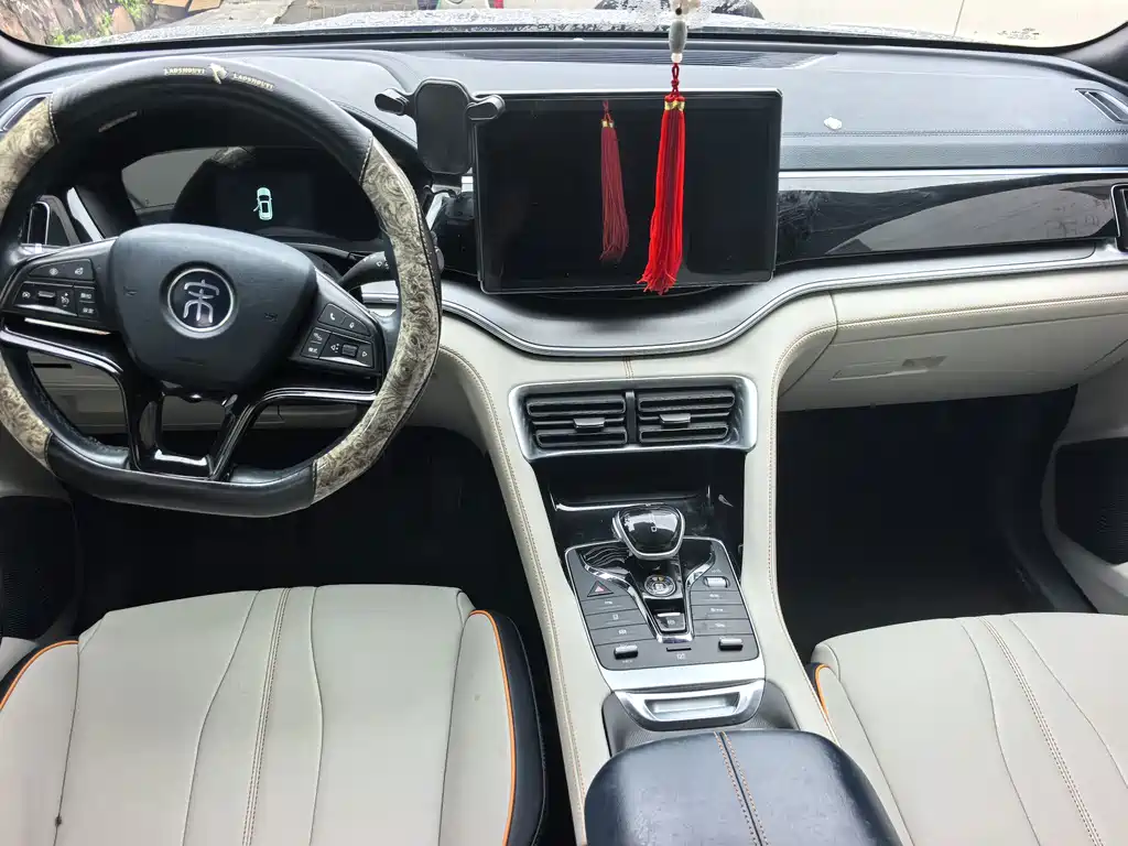 BYD PLUS New Energy — фото 13
