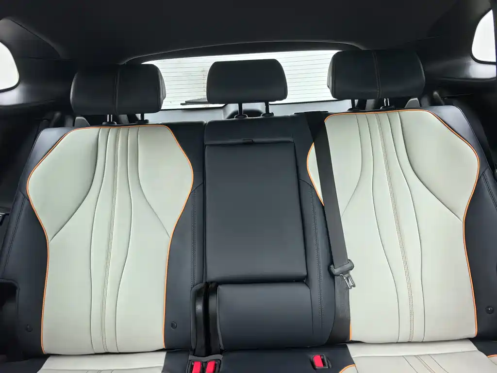 BYD PLUS New Energy — фото 17