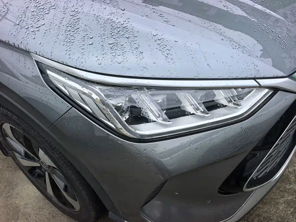 BYD PLUS New Energy — фото 8