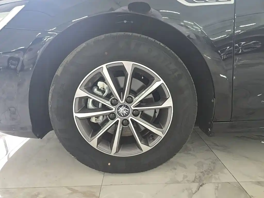 BYD Qin PLUS — фото 23