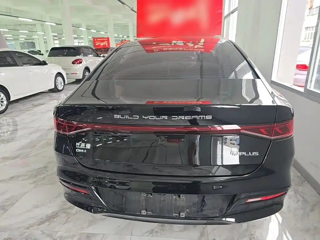 BYD Qin PLUS — фото 6