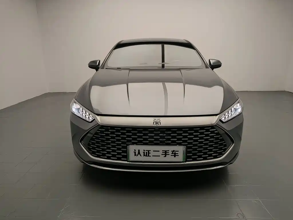 BYD Qin PLUS — фото 2