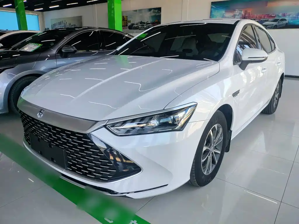 BYD Qin PLUS — фото 2
