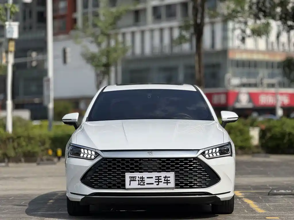 BYD Qin PLUS — фото 2