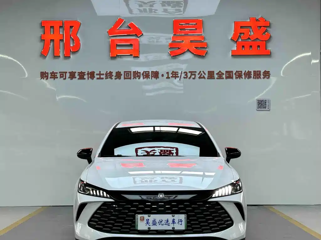 BYD Qin PLUS — фото 2