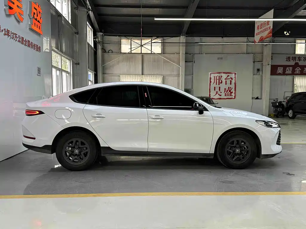 BYD Qin PLUS — фото 4