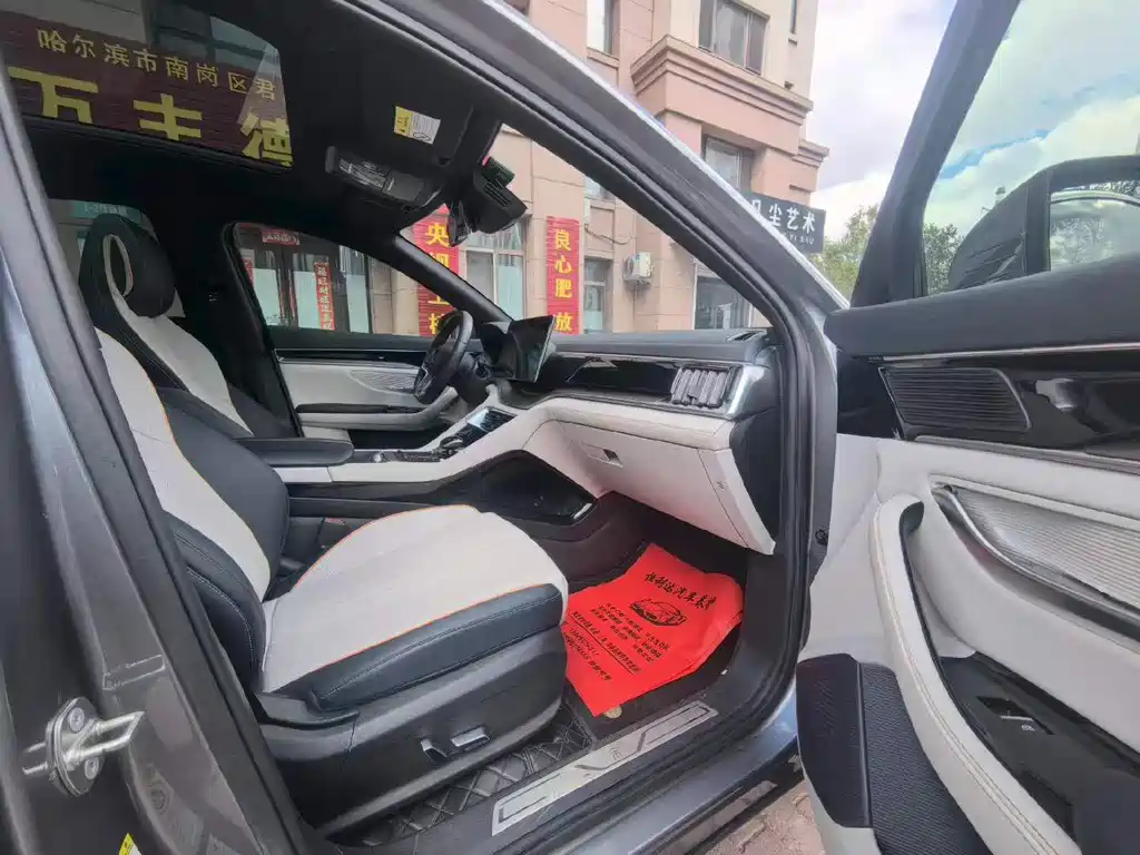 BYD PLUS New Energy — фото 4