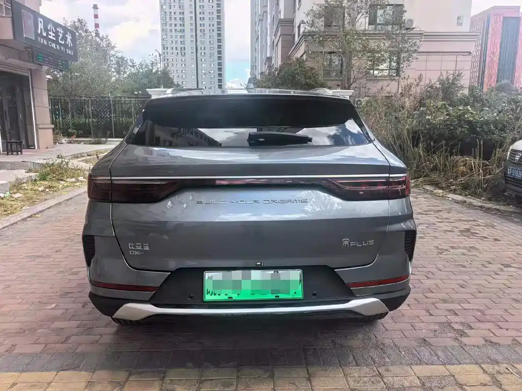 BYD PLUS New Energy — фото 8
