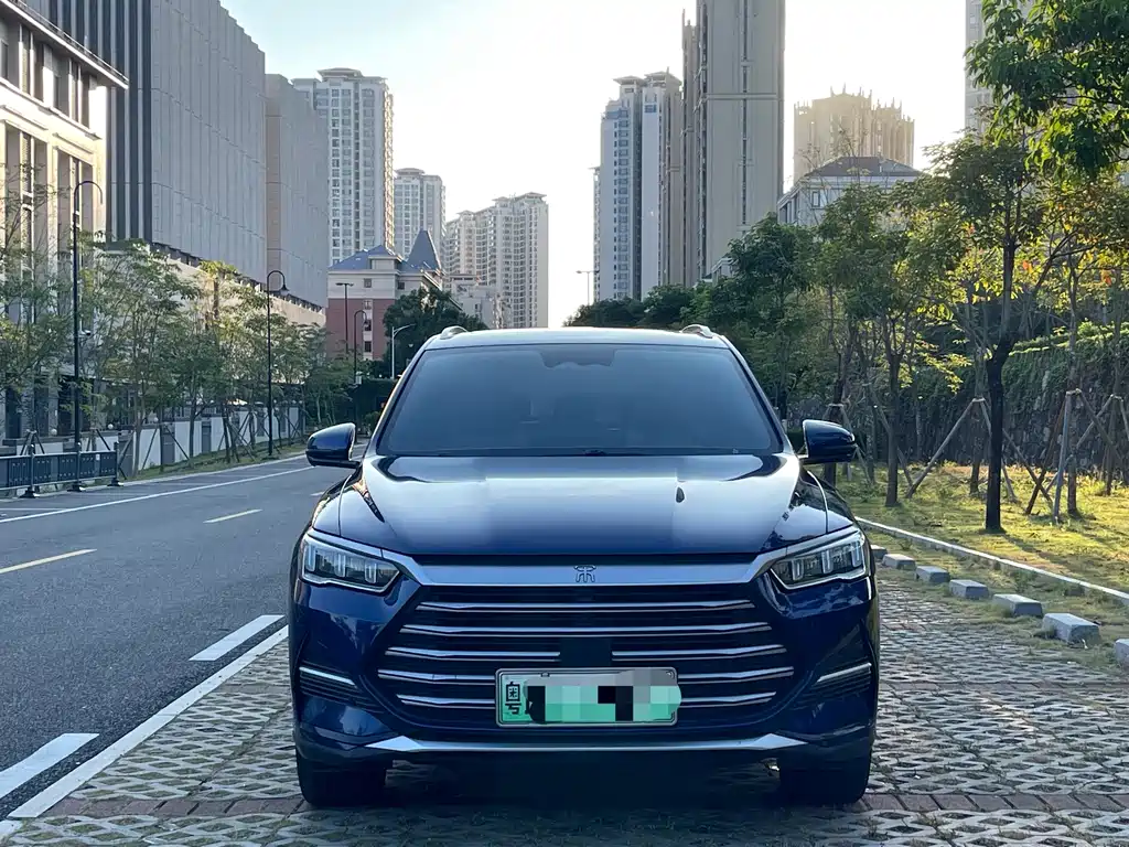BYD Pro New Energy — фото 2