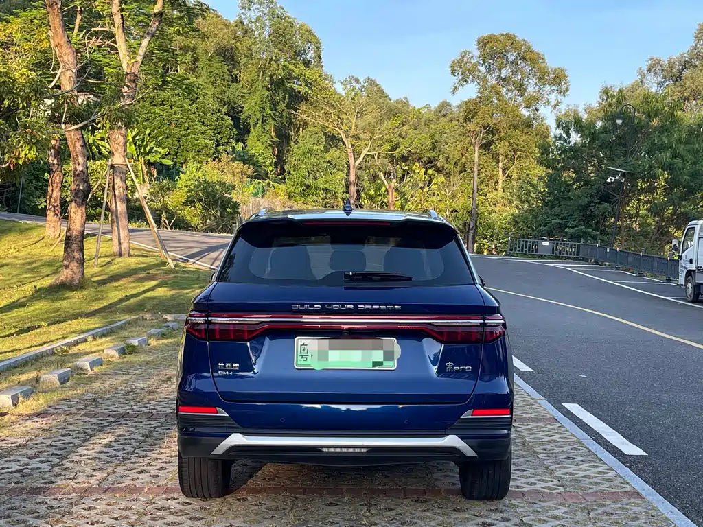 BYD Pro New Energy — фото 8