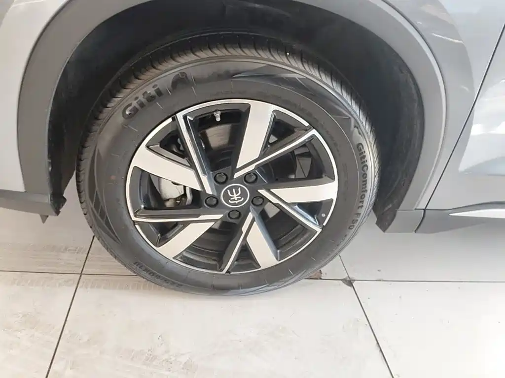 BYD Pro New Energy — фото 23