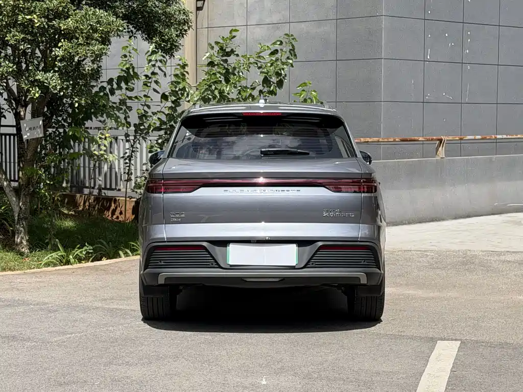 BYD Pro New Energy — фото 7