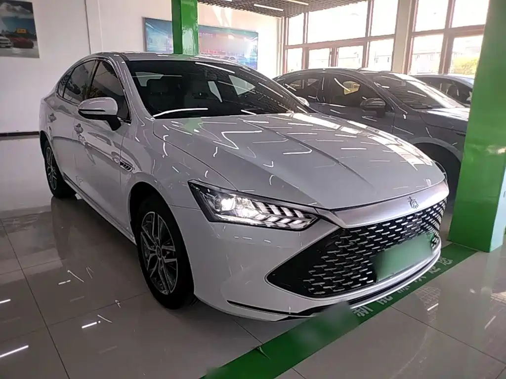 BYD Qin PLUS — фото 4