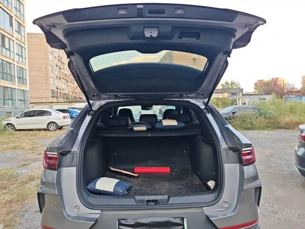 BYD PLUS New Energy — фото 19
