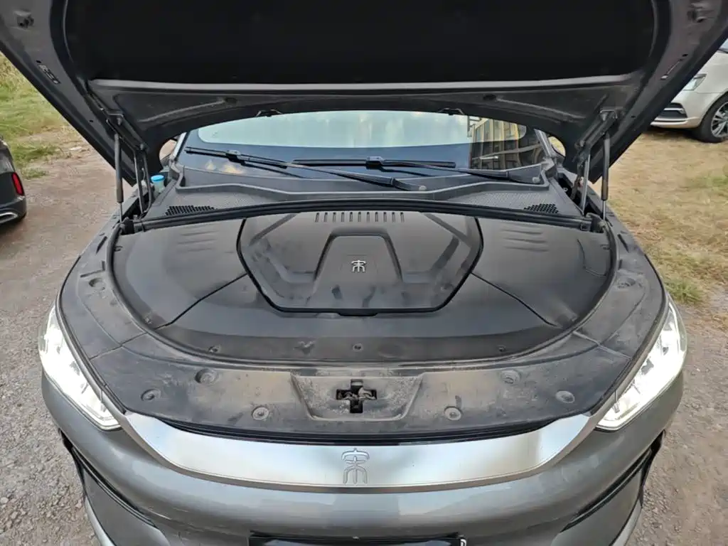 BYD PLUS New Energy — фото 20
