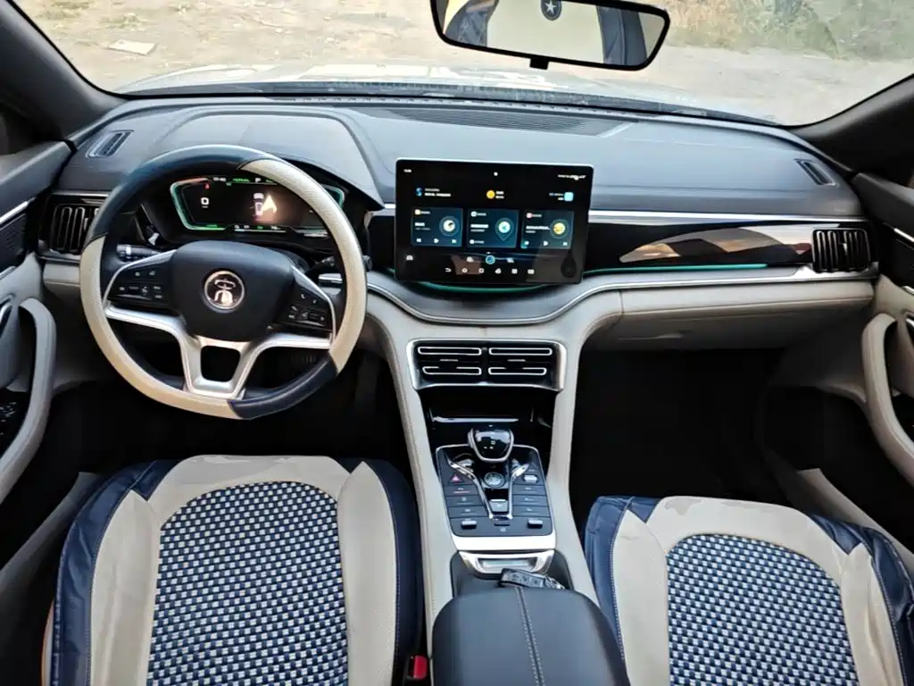 BYD PLUS New Energy — фото 10