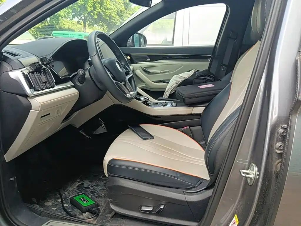 BYD PLUS New Energy — фото 15