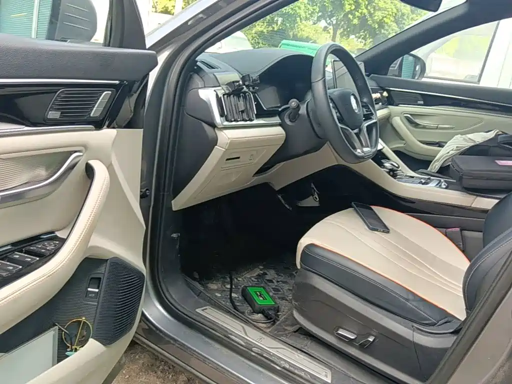 BYD PLUS New Energy — фото 16
