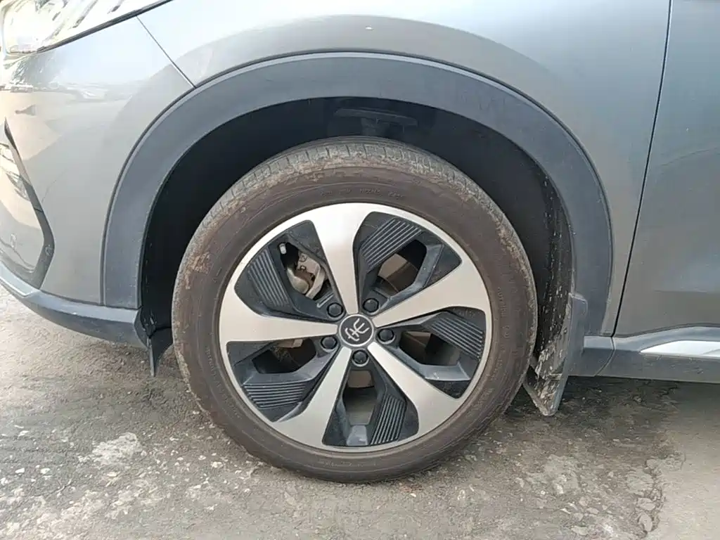 BYD PLUS New Energy — фото 23