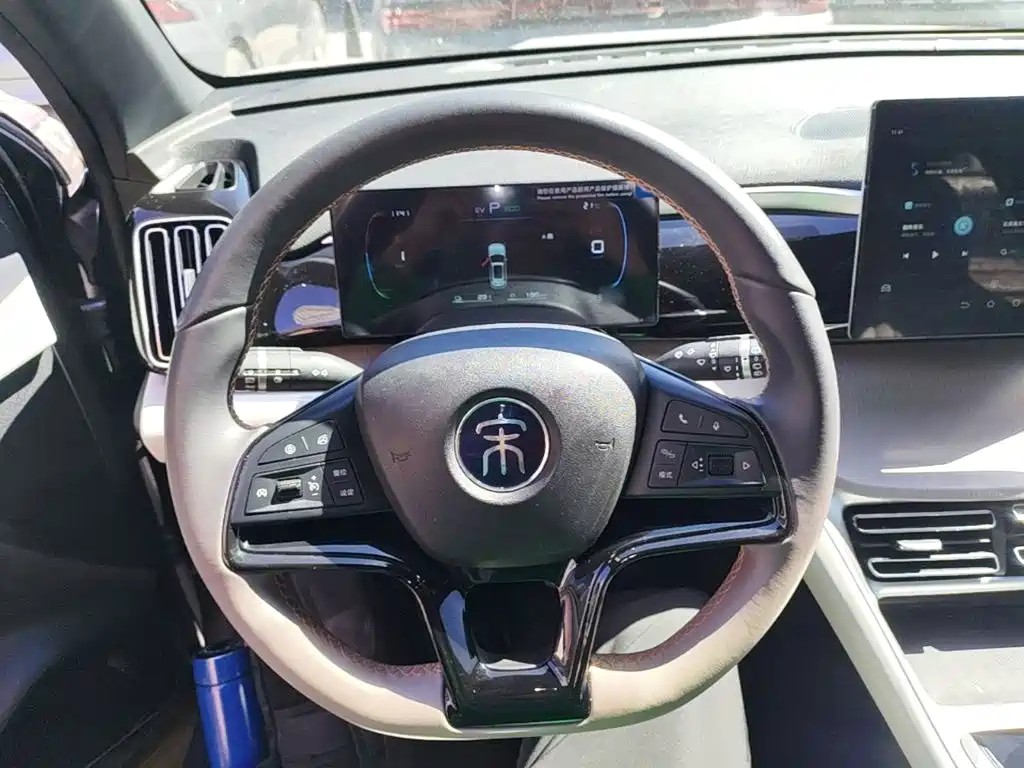 BYD Pro New Energy — фото 11