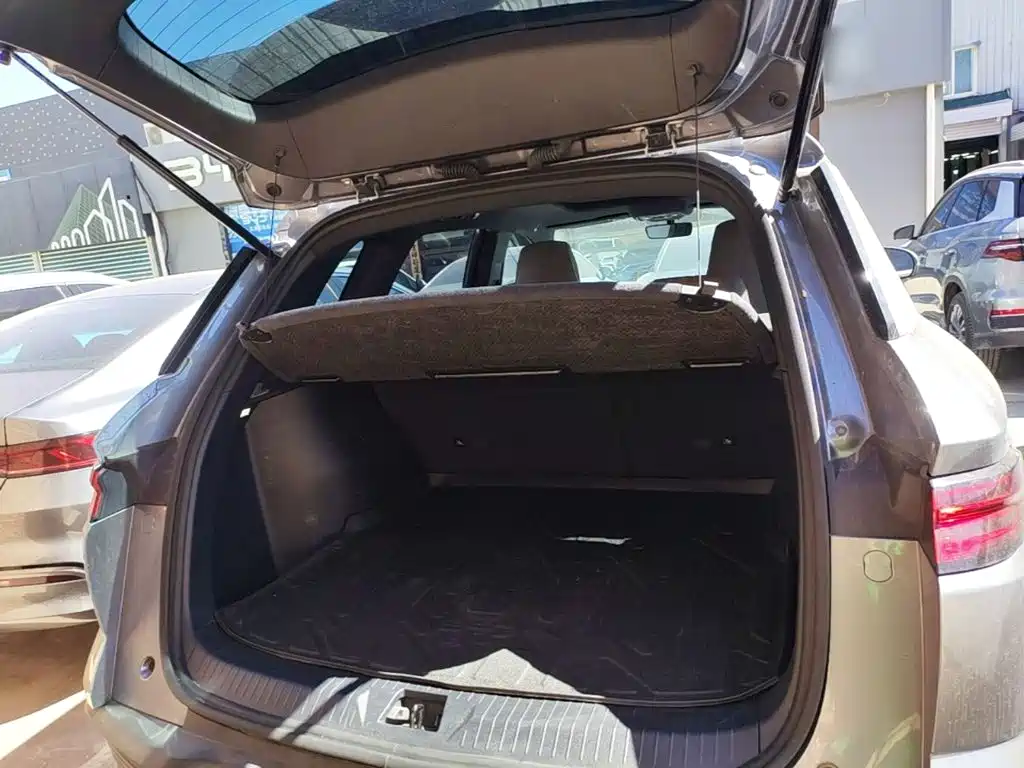 BYD Pro New Energy — фото 19