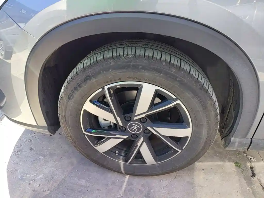 BYD Pro New Energy — фото 23