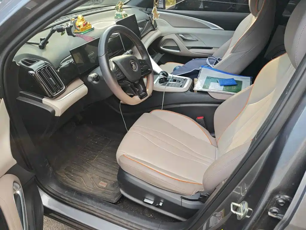 BYD Pro New Energy — фото 11