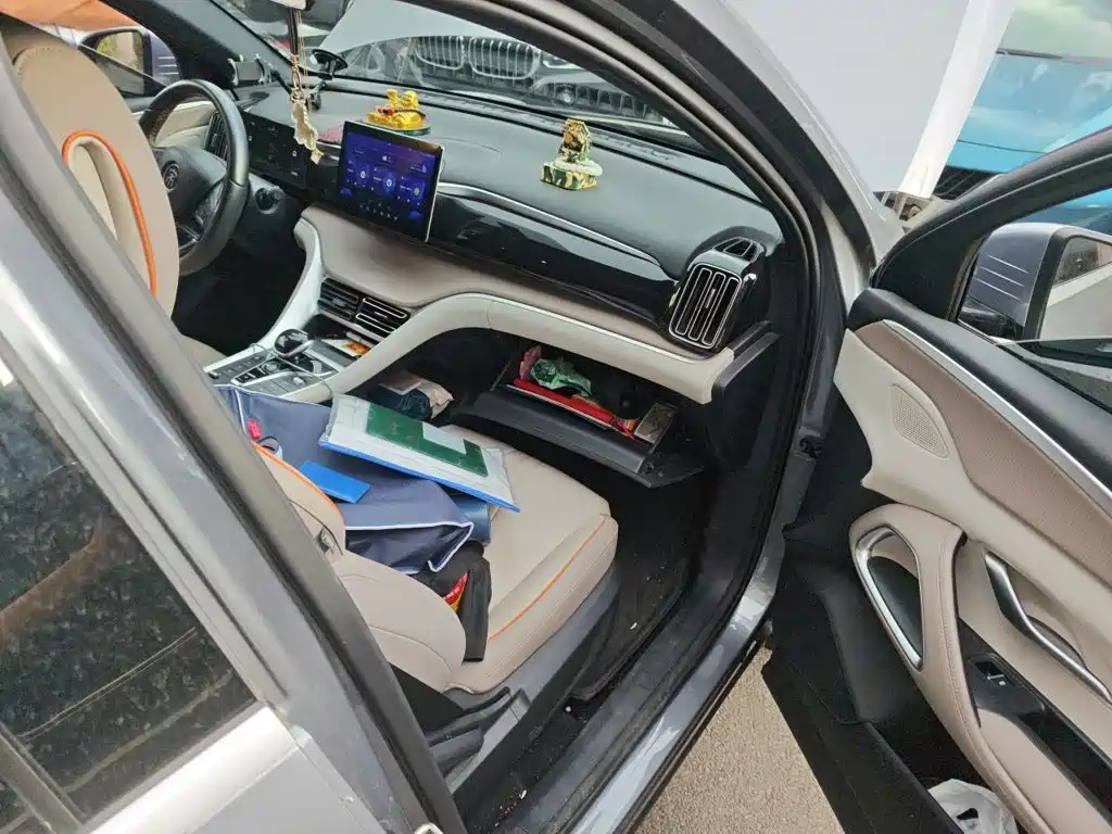 BYD Pro New Energy — фото 19