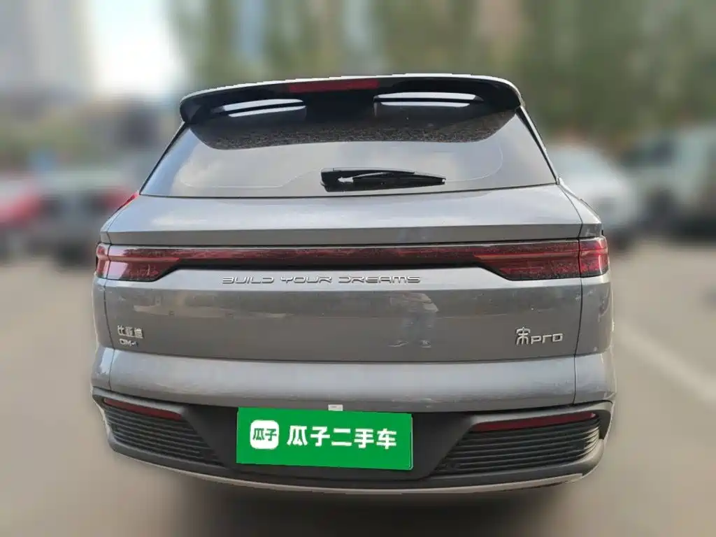 BYD Pro New Energy — фото 3
