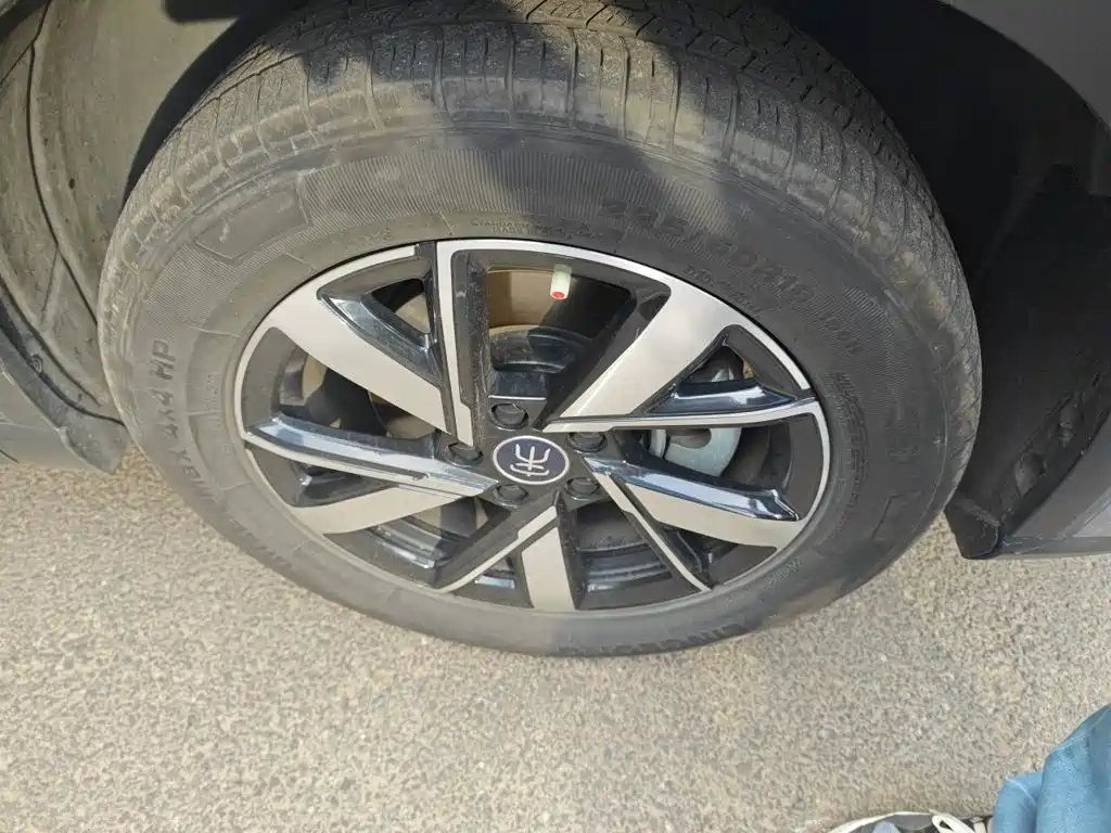 BYD Pro New Energy — фото 25