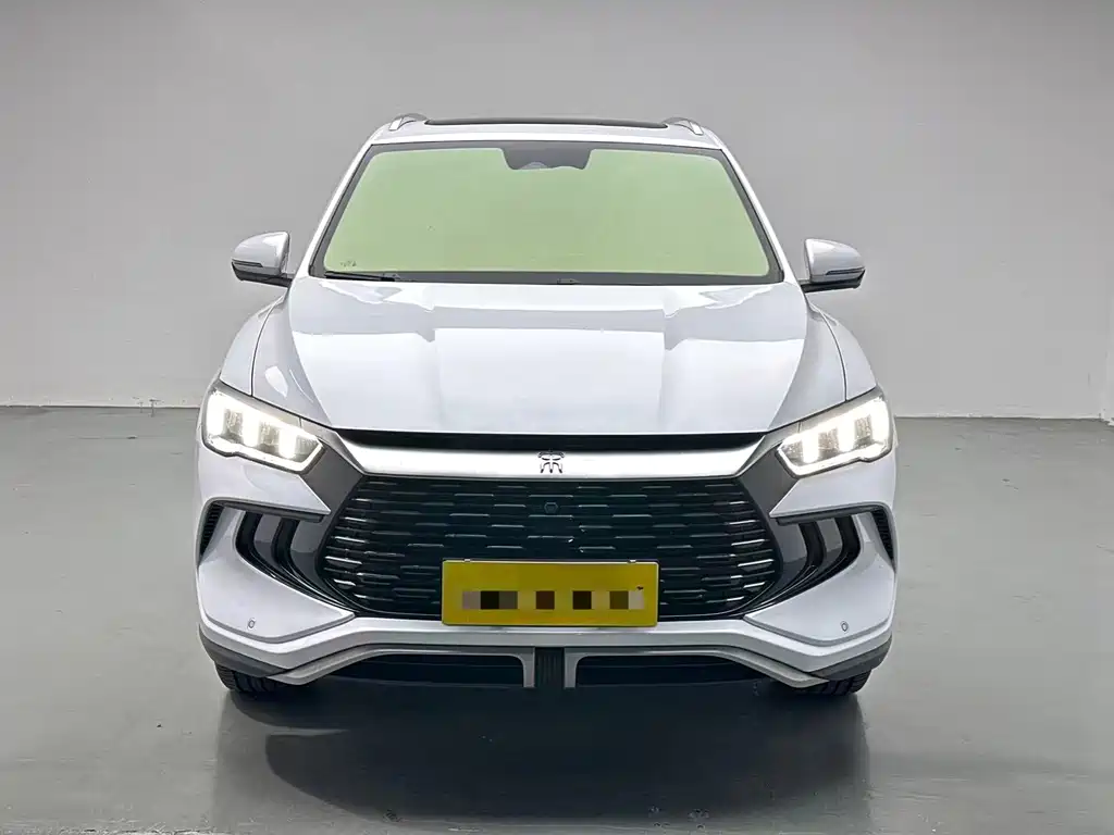 BYD Pro New Energy — фото 2