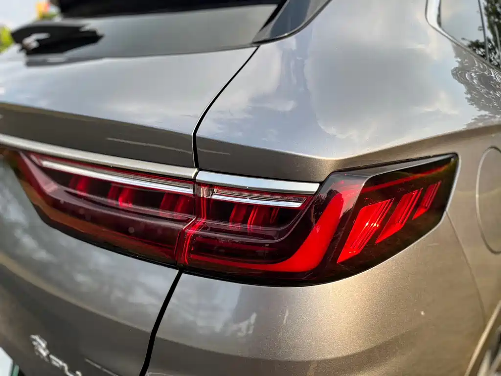 BYD PLUS New Energy — фото 13