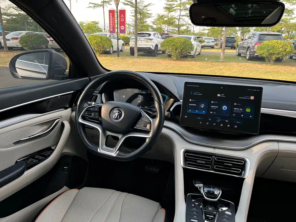 BYD PLUS New Energy — фото 10
