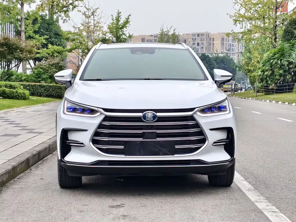 BYD Tang New Energy — фото 2