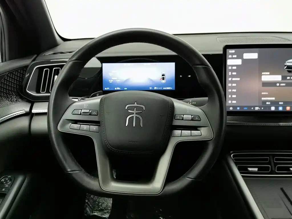 BYD Pro New Energy — фото 11