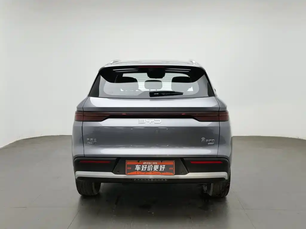 BYD Pro New Energy — фото 4