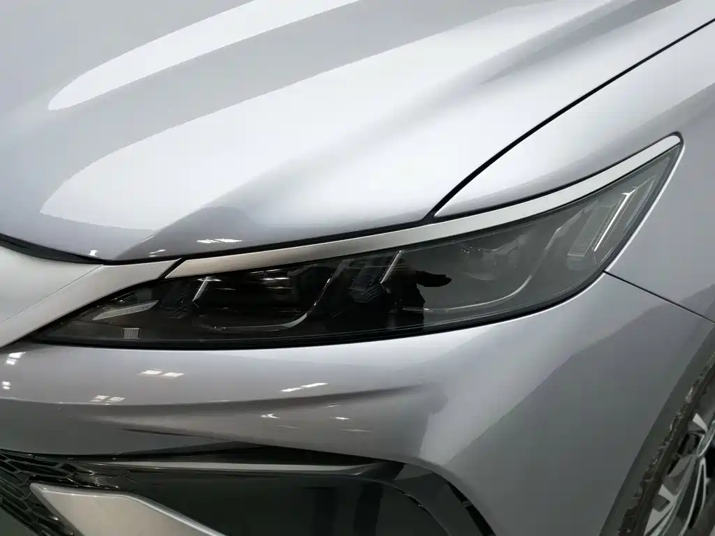 BYD Pro New Energy — фото 7