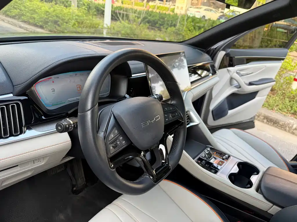 BYD PLUS New Energy — фото 17