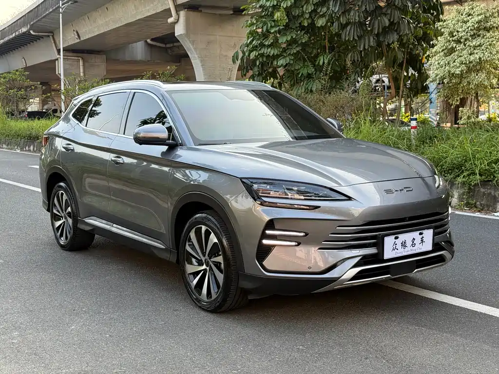 BYD PLUS New Energy — фото 3