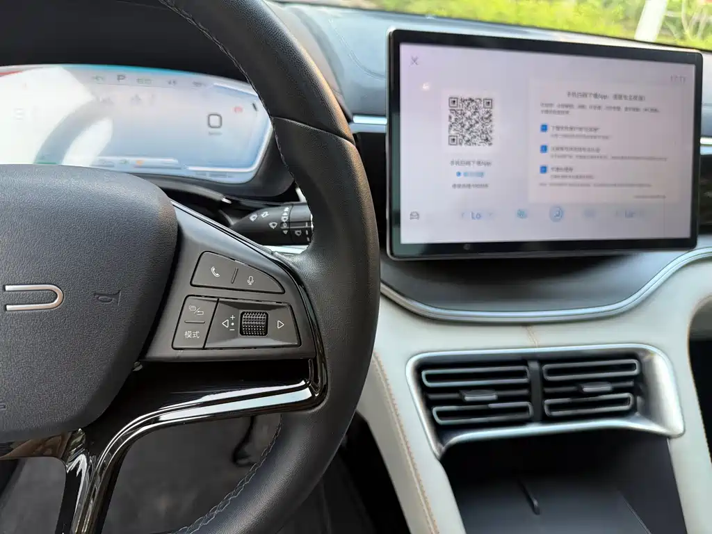 BYD PLUS New Energy — фото 25