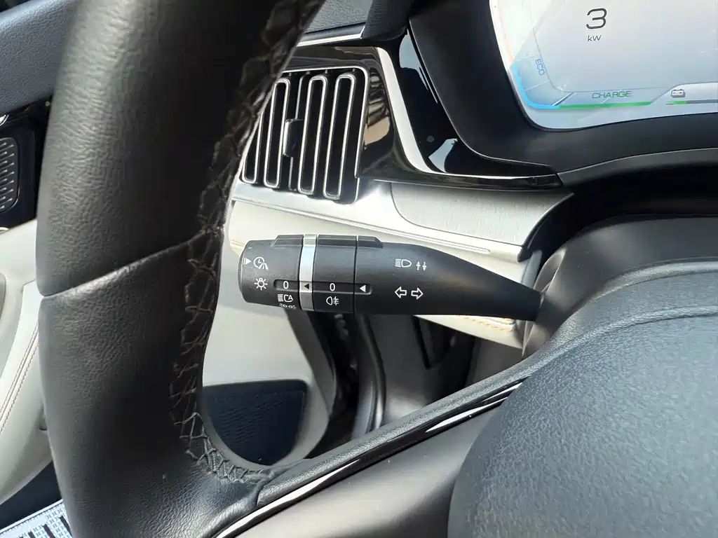 BYD PLUS New Energy — фото 26