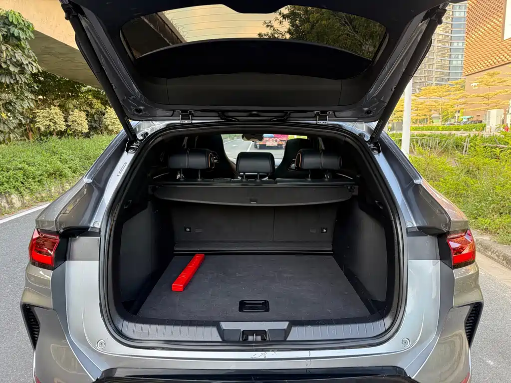 BYD PLUS New Energy — фото 30