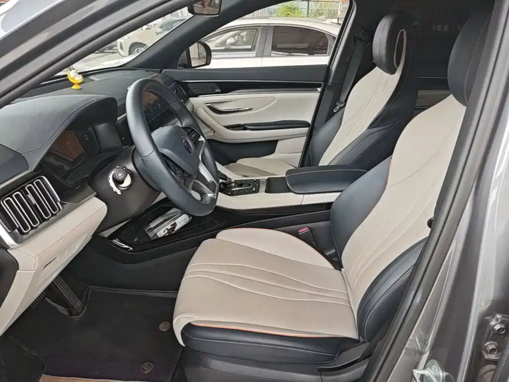 BYD PLUS New Energy — фото 15