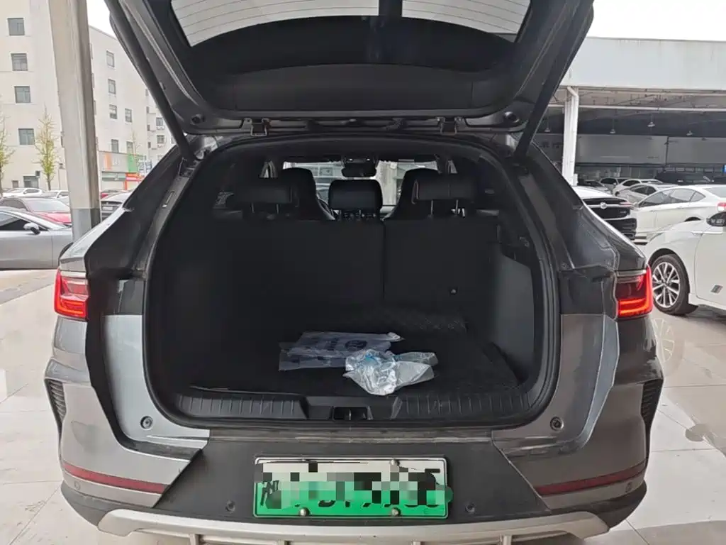 BYD PLUS New Energy — фото 19