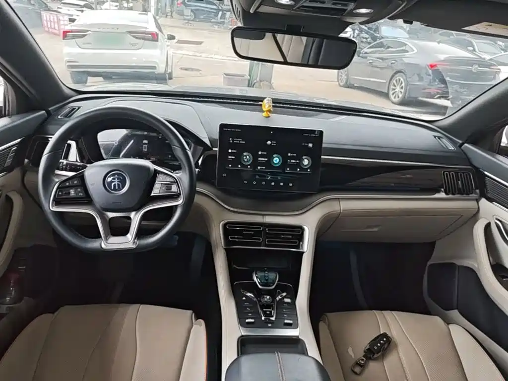 BYD PLUS New Energy — фото 10
