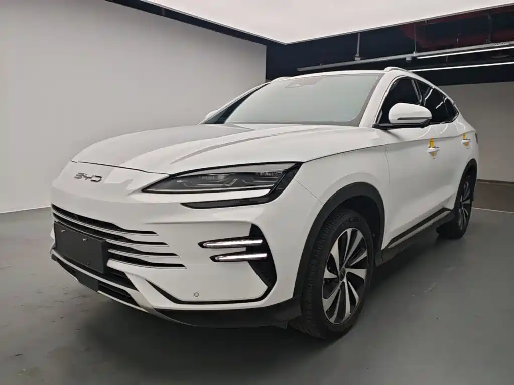 BYD PLUS New Energy — фото 2