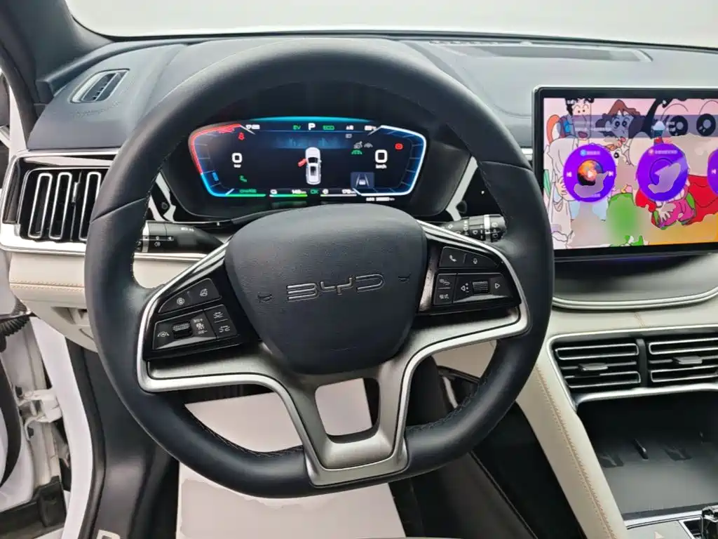 BYD PLUS New Energy — фото 11