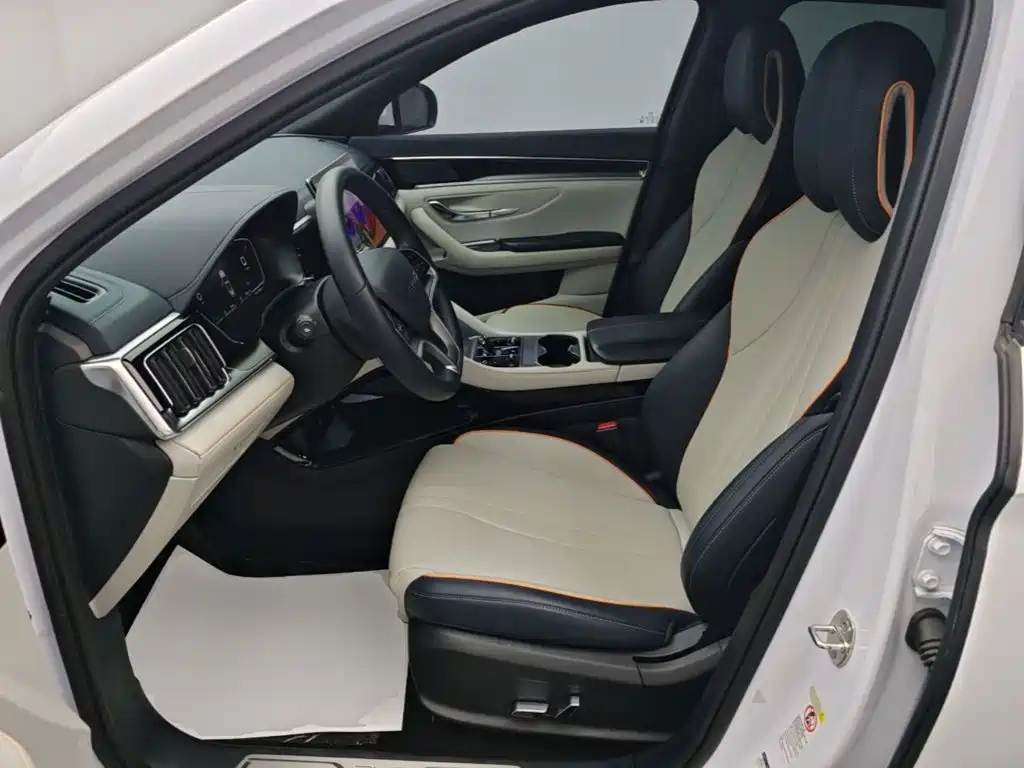 BYD PLUS New Energy — фото 15