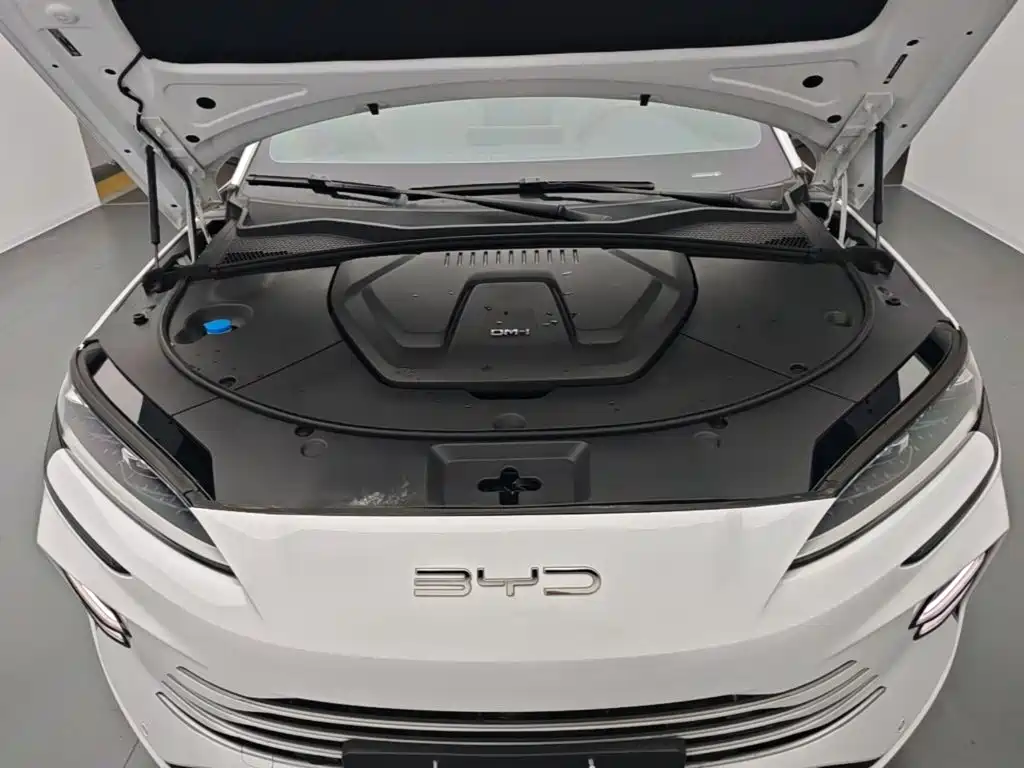BYD PLUS New Energy — фото 20