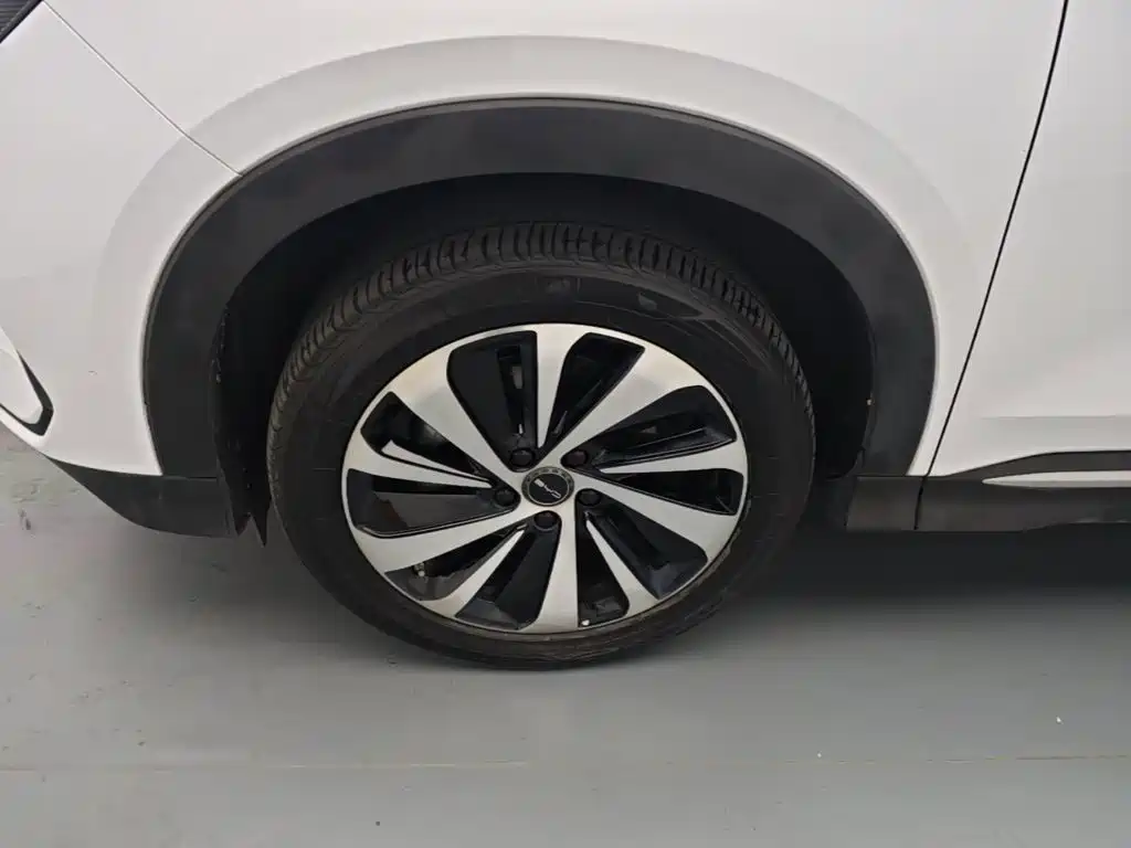 BYD PLUS New Energy — фото 23